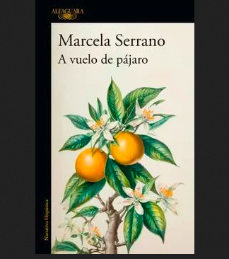 A vuelo de pájaro. Marcela Serrano