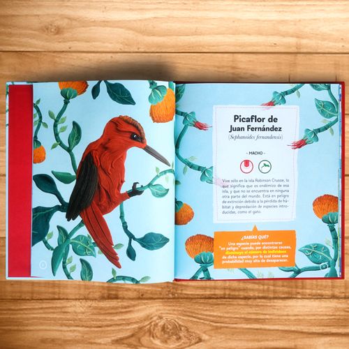 Mi primer libro de fauna y flora de Juan Fernández - Imagen 2