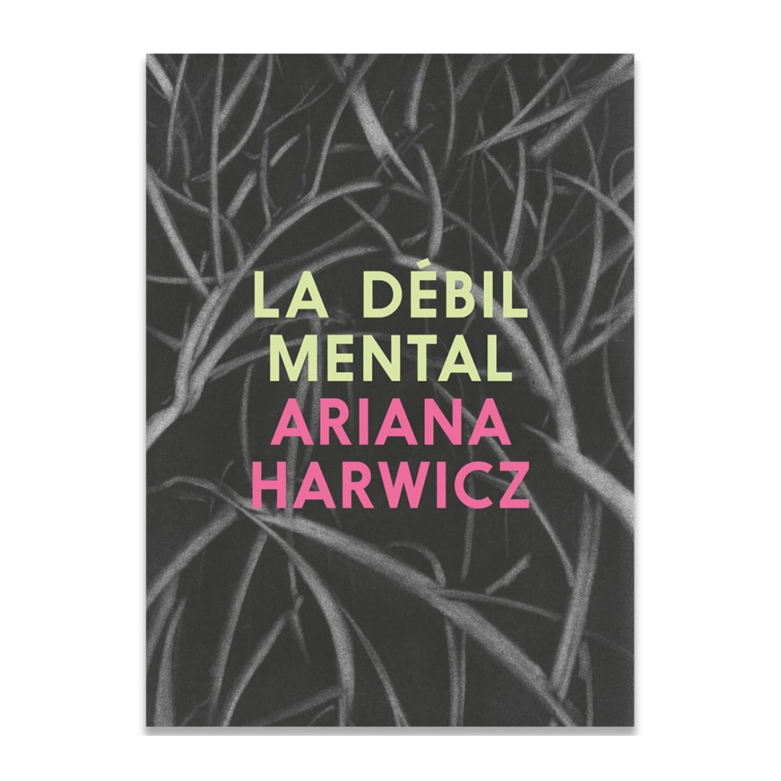 La débil mental.ARIANA HARWICZ