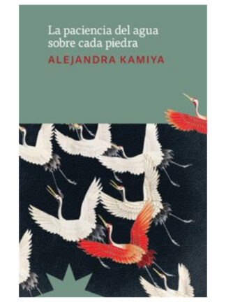 La paciencia del agua sobre cada piedra. ALEJANDRA KAMIYA