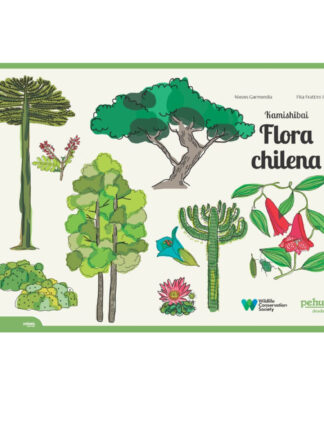 Kamishibai Flora Chilena. NIEVES GARMENDIA; FITA FRATTINI