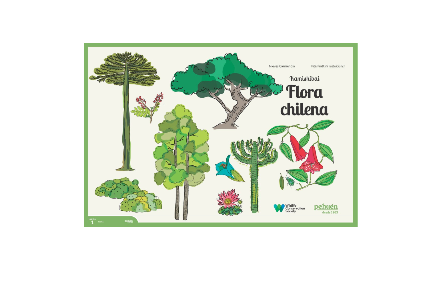 Kamishibai Flora Chilena. NIEVES GARMENDIA; FITA FRATTINI