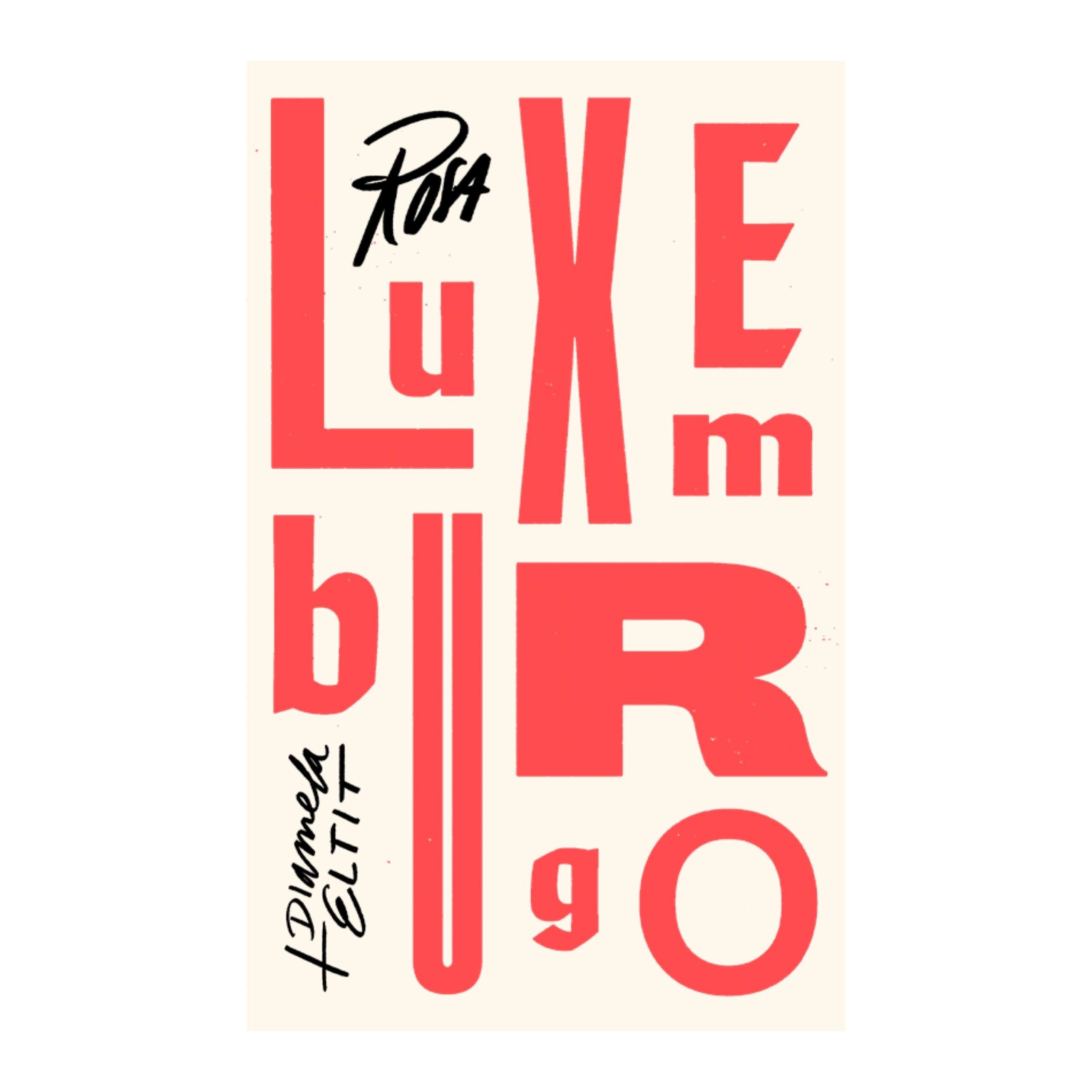 Dime cuándo vienes. Cartas de amor, 1893-1917. ROSA LUXEMBURGO; DIAMELA ELTIT