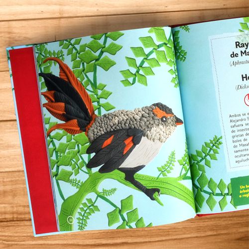 Mi primer libro de fauna y flora de Juan Fernández - Imagen 3