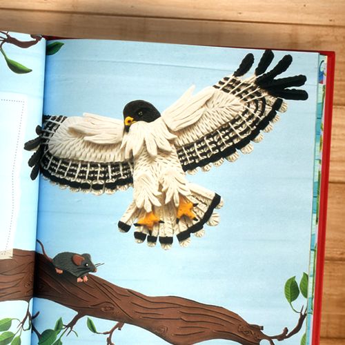 Mi primer libro de fauna y flora de Juan Fernández - Imagen 4