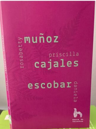 Rosabetty Muñoz; Priscilla Cajales; Daniela Escobar