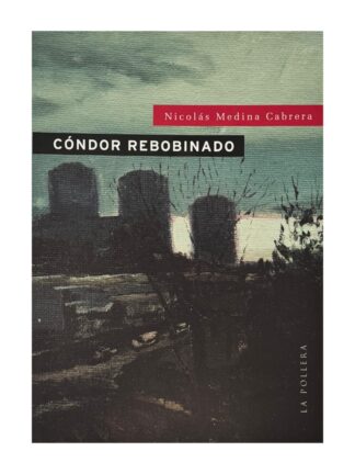 Cóndor rebobinando.NICOLÁS MEDINA CABRERA
