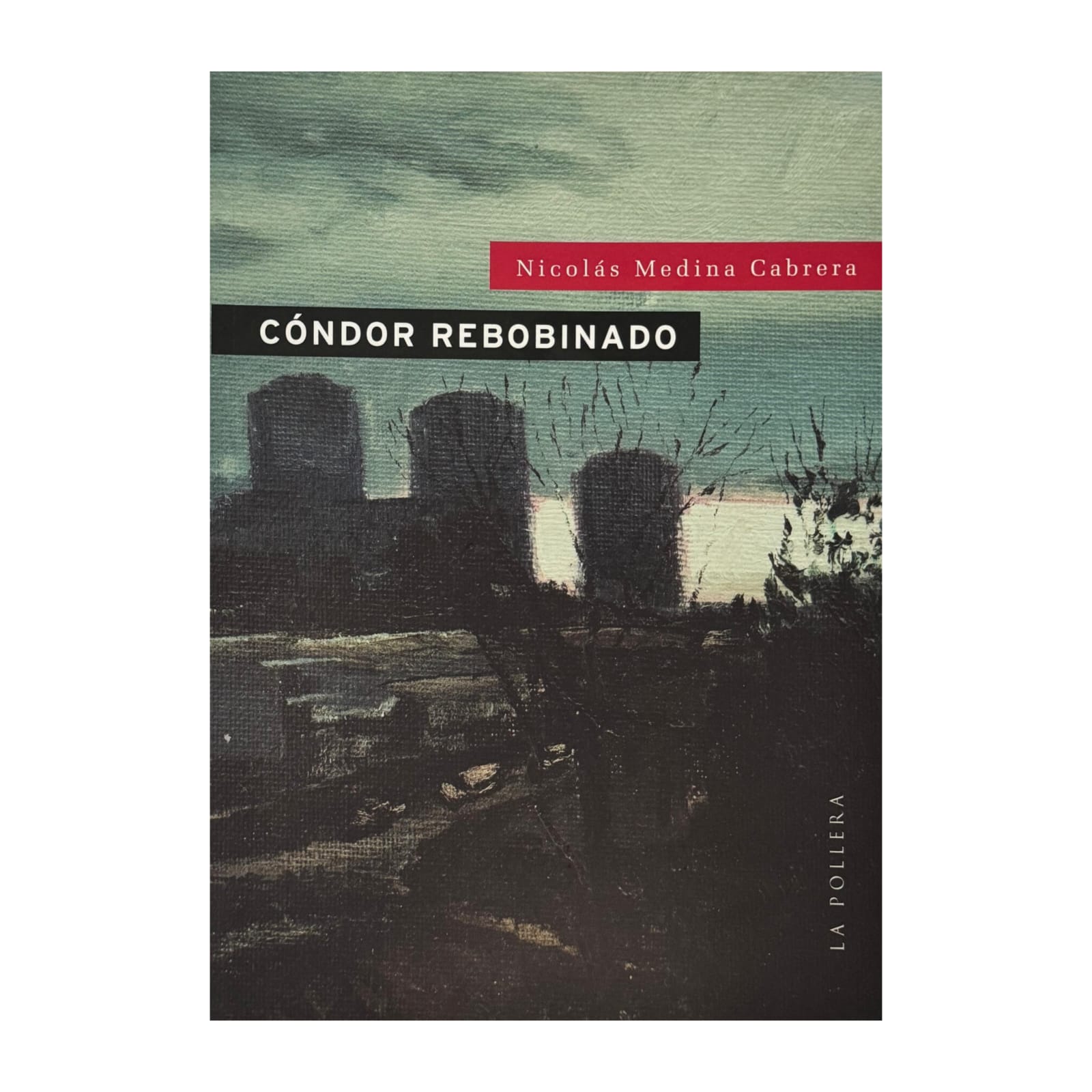 Cóndor rebobinando.NICOLÁS MEDINA CABRERA